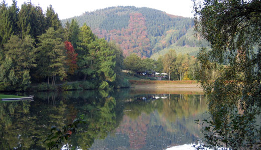 Der Esmecke-Stasee nahe Wenholthausen