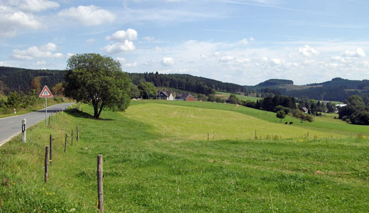 Blick auf Faulebutter im Sauerland