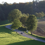 Blick auf das KurvenReich Sauerland