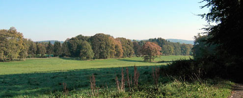 Schlosspark Herdringen