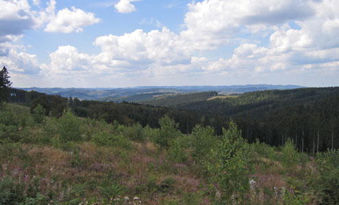 Blick von der Hellefelder Höhe