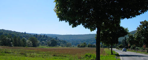 Das Alte Feld in Arnsberg