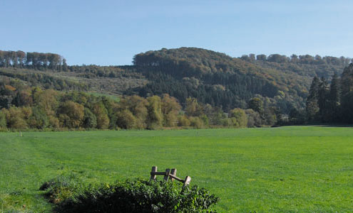 Landschaft bei Müschede im Sauerland