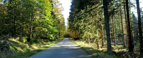 Straße nahe Neuhaus, Möhnesee