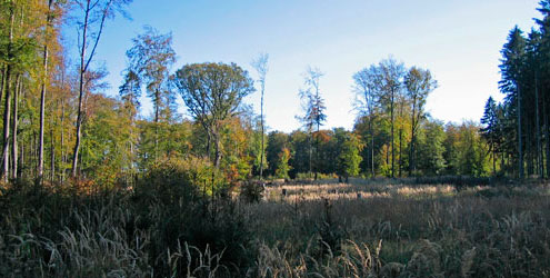 Landschaft bei Neuhaus, Möhnesee