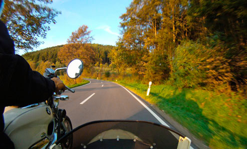 Goldener Herbst auf der Hellefelder Höhe