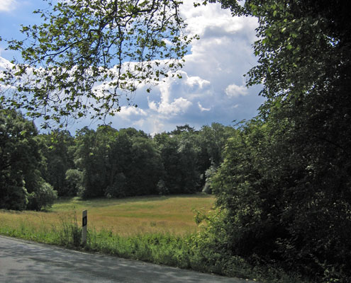 Aussicht im Sauerland