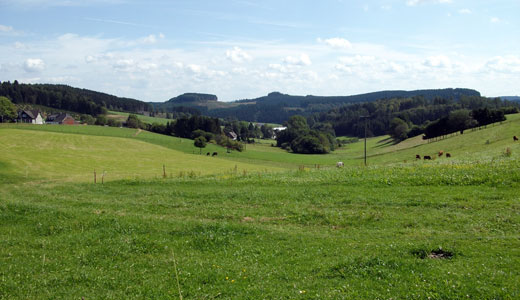 Blick auf Faulebutter im Sauerland