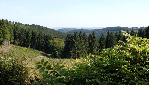 Landschaft bei Röhrenspring