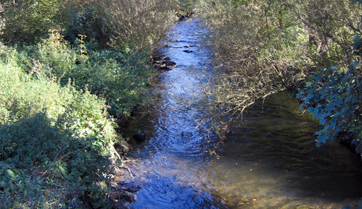 Bachlauf im Sauerland