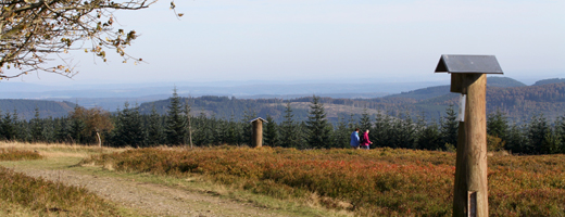 Aussicht am Kahlen Asten