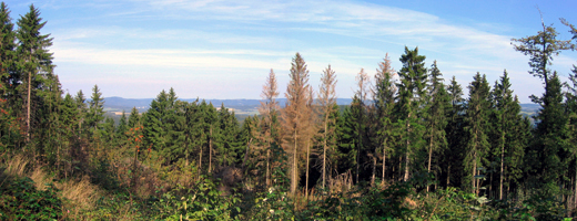 Blick auf das Sauerland von der Hohen Bracht