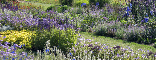 Beetgestaltung im Sauerlandpark - Blau