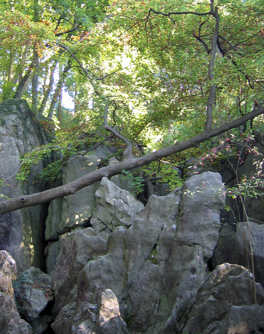 Blick ins Felsenmeer