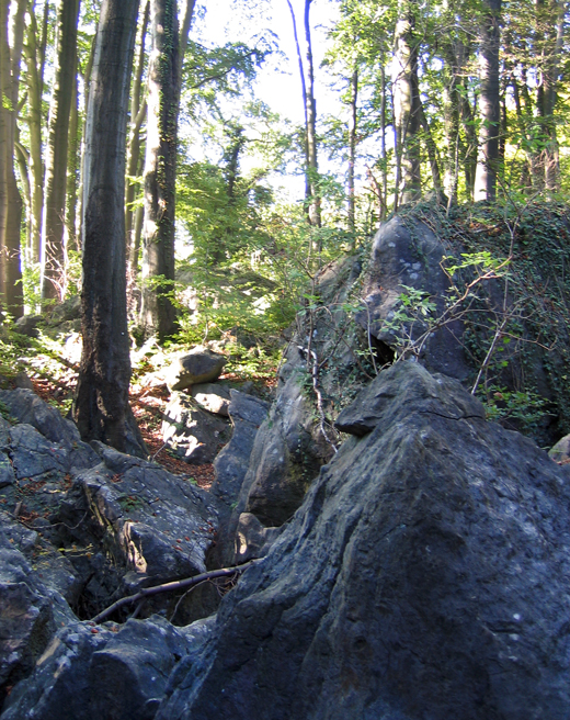 Blick ins Felsenmeer