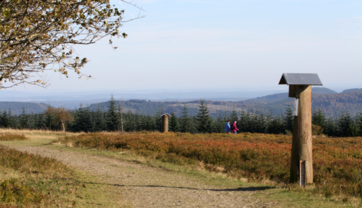 Blick in die Region um den Kahlen Asten