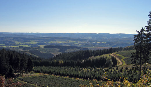 Blick vom Oberen Staubecken der EMark auf das Sauerland