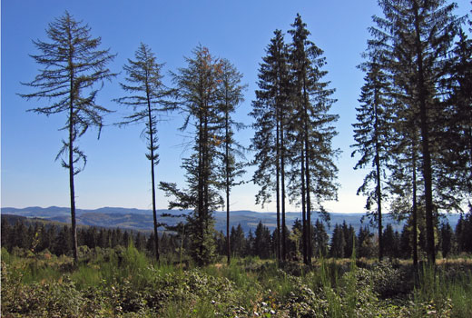 Aussicht bei der Anfahrt zum Oberen Staubecken