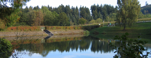 Blick auf den Esmecke-Stausee