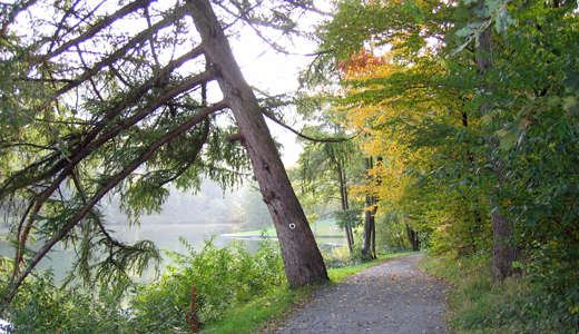 Spazierweg um den Esmecker Badesee